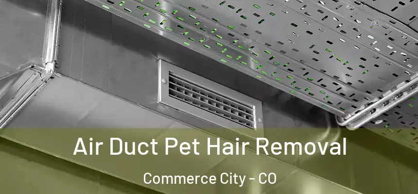  Air Duct Pet Hair Removal Commerce City - CO