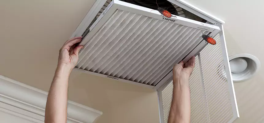 Preventive Cockroach-Proofing for Ducts in Commerce City