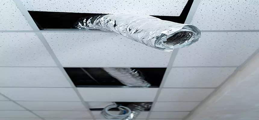 Our Air Duct Pet Hair Removal Services in Commerce City, CO