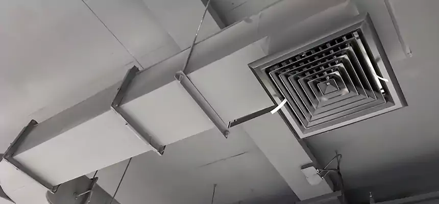 Restorative Allergy Relief Vent Cleaning – Coil, Blower & Housing Detail in Commerce City