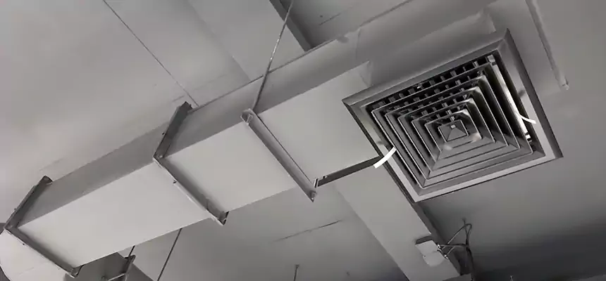 Our Pest Removal From Ducts Services in Commerce City, CO