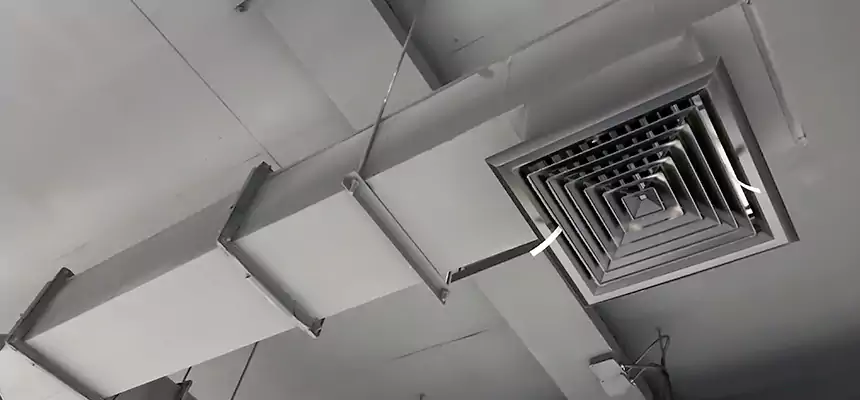 Our Rodent Droppings In Vents Services in Commerce City, CO