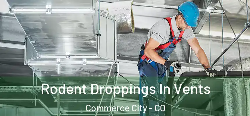  Rodent Droppings In Vents Commerce City - CO