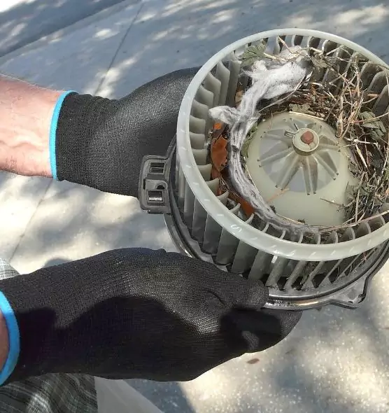 About Air Duct Mice Removal in Commerce City, CO