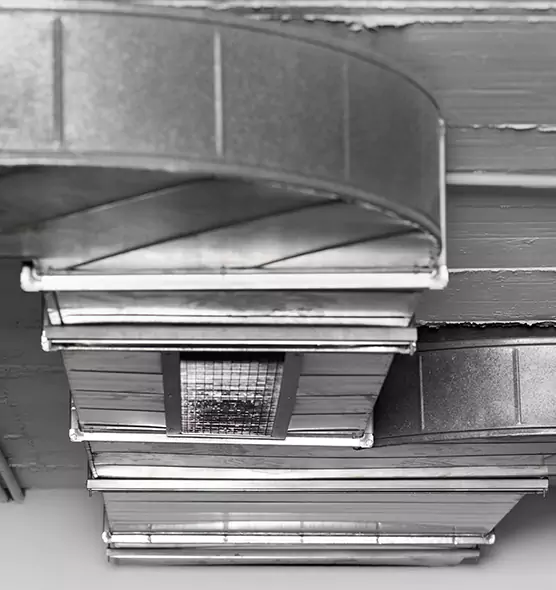 Professional Air Duct Pet Hair Removal in Commerce City, CO