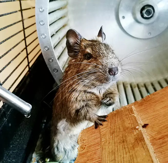 Why Homeowners & Businesses Trust Us Commerce City, CO?